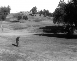 Woodland Hills 1951 #2